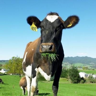 AROTEC-herds