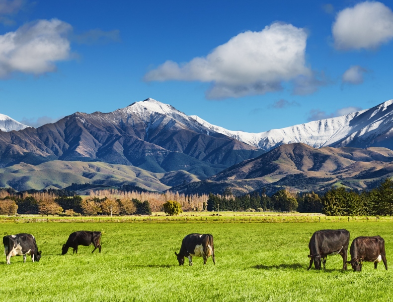 South Island, New Zealand